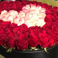 دسته گل باکس گل رز هلندی صد شاخه ای فقط ۹۹۹تومن|گل و گیاه طبیعی|مشهد, آزادشهر|دیوار