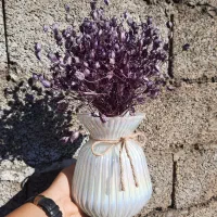 گلدون و بوته گل خشک