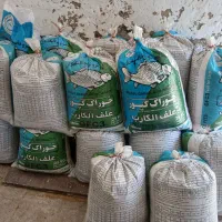 جو محلی|گل و گیاه طبیعی|چمران, |دیوار