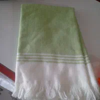 دستمال خراشادی|لوازم نظافت|بیرجند, |دیوار