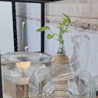 سرویس لومینارک فرانسه|ظروف سرو و پذیرایی|قم, باغ کرباسی|دیوار