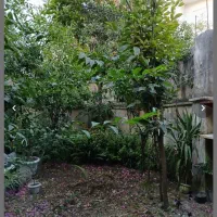 اجاره ویلایی ۱۵۰ متری/خرمشهر|اجارهٔ خانه و ویلا|لاهیجان, شهید آوینی|دیوار