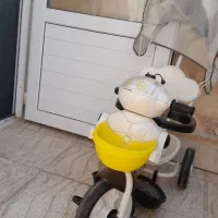 سه چرخه|دوچرخه، اسکیت، اسکوتر|اراک, |دیوار