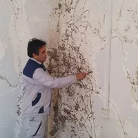 سمپاشی و موریانه زدایی بهبهان|خدمات نظافت|بهبهان, |دیوار