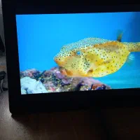 تبلت HP Elite X2 G1|رایانه همراه|مشهد, موعود|دیوار