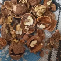 گردو|خوردنی و آشامیدنی|قم, شهرک فاطمیه|دیوار