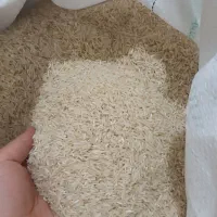 برنج طارم رودبار