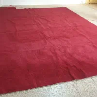 موکت پرز بلند پالاز|موکت|اهواز, کیانپارس |دیوار
