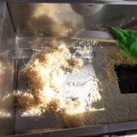 خدمات سمنو|خدمات پذیرایی، مراسم|اصفهان, ارداجی|دیوار