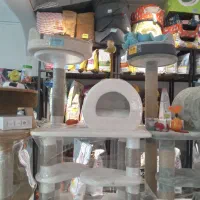 پانسیون سگ و گربه