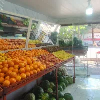 وسایل کامل میوه فروشی.