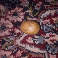 سنگ قیمتی