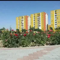 اپارتمان ۸۳ متر کوی لاله مجتمع باران