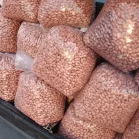 بادام زمینی ممتاز مغان