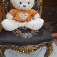 شاسخین خارجی  خوشرنگ و با کیفیت
