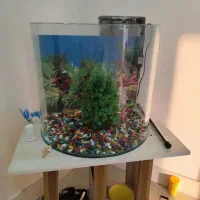 آکواریوم ۶۰ لیتری