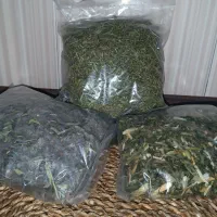 محصولات فریدن