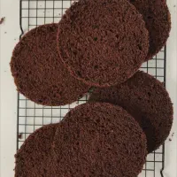 کیک کافیشاپی ها|خوردنی و آشامیدنی|رشت, سیا اسطلخ|دیوار