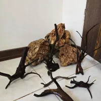 چوب آبنوس و سنگ آکواریوم|ماهی|شیراز, تندگویان|دیوار
