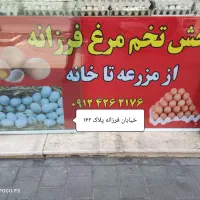 پخش تخم مرغ فرزانه|خوردنی و آشامیدنی|تهران, فرزانه|دیوار