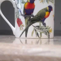 ماگ birdsong
