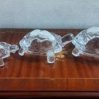 لاک پشت کریستالی