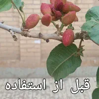 کود ارگانیک کشاورزی