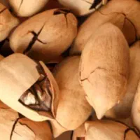 گردو پکان با پوست وانیلی