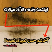 پک  کف|مواد شوینده و دستمال کاغذی|طبس, |دیوار