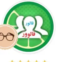 خدمات فروش فالور ایرانی اینستاگرام ولایک وویو