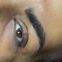 مدل فوری برای میکرو بیلدینگ رایگان