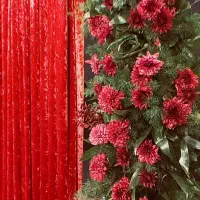 گل آرایی یلدا