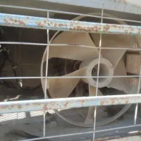 باسلام فن دونه یک میلیون  سه عدد موجود