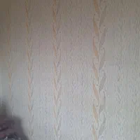 خدمات ونقاشی