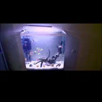 آکواریوم با پایه