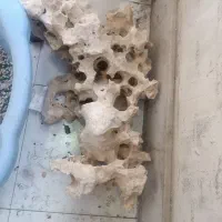 لوازم جانبی آکواریوم