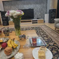 خانم جهت انجام امور منزل