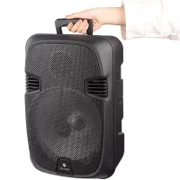 باند اسپیکر چمدانی