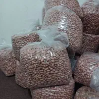 بادام زمینی