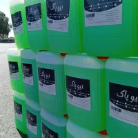 مایع شوینده|مواد شوینده و دستمال کاغذی|زاهدان, |دیوار