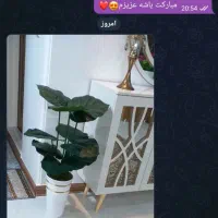 درختچه  مصنوعی|گل مصنوعی|ساوه, |دیوار