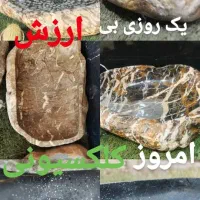 روشوییرودخانه ای|لوازم سرویس بهداشتی|رامیان, |دیوار