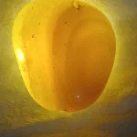 عقیق سلیمانی|کلکسیون اشیاء عتیقه|چابهار, |دیوار