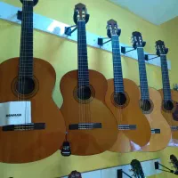 گیتار های خارجی اریا یاماها