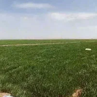 زمین-کشاورزی
