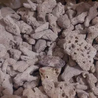 مرجان و سنگ آکواریوم