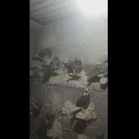 یه جفت اردن خوب