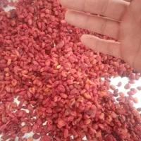 زغال اخته خشک بدون هسته و سماق قرمز خالص برگ|خوردنی و آشامیدنی|تهران, استاد معین|دیوار