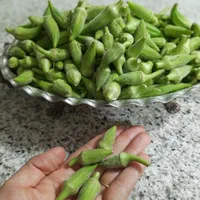 بامیه|خوردنی و آشامیدنی|اصفهان, بابوکان|دیوار