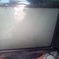 تلویزیون